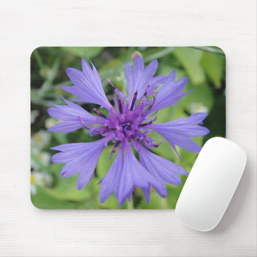 Mousepad blaue Kornblume Muismat (Met muis)