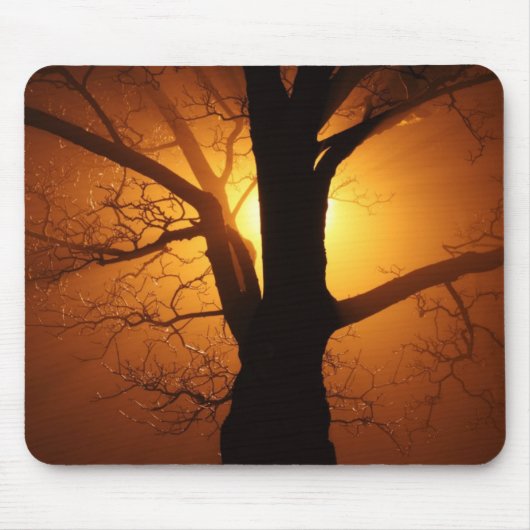 Mousepad-boom 's nachts muismat (Voorkant)
