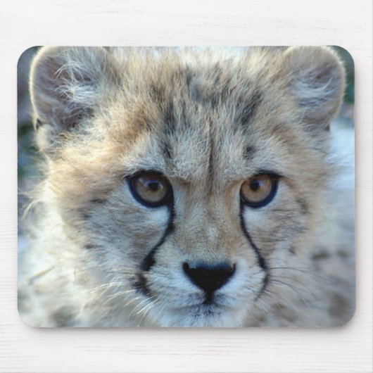 Mousepad-cheetah-cub10x10 Muismat (Voorkant)