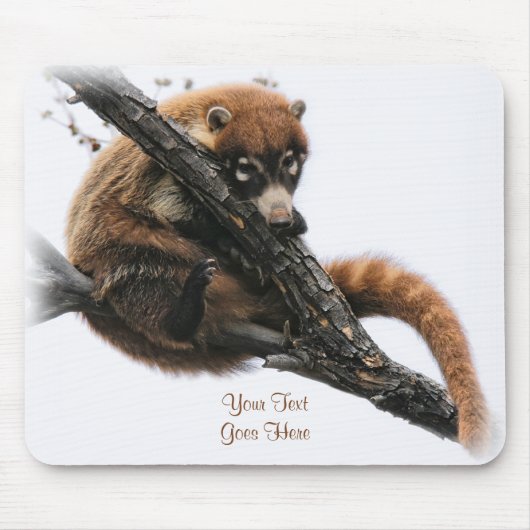 Mousepad: Coatimundi #5 Muismat (Voorkant)