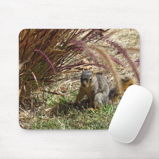 Mousepad - Eekhoorn in Grass Muismat (Met muis)
