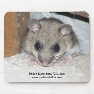 Mousepad "Eetble Dormouse" Muismat