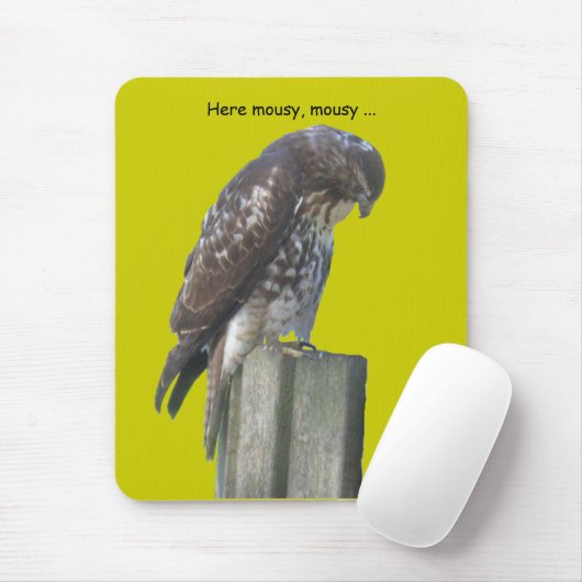 Mousepad - Falcon Muismat (Met muis)