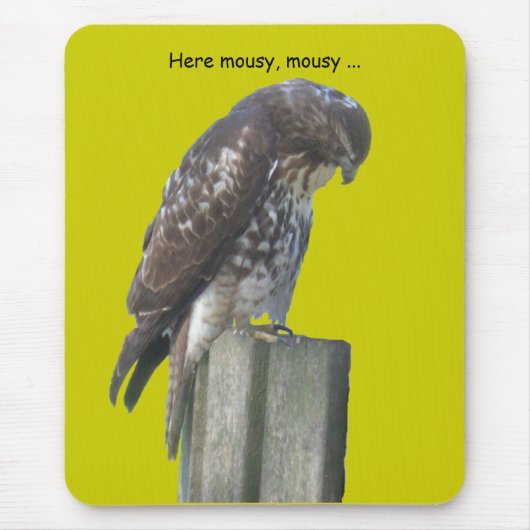 Mousepad - Falcon Muismat (Voorkant)