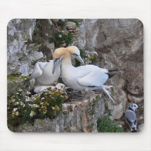 Mousepad: Gannets en bloemen Muismat (Voorkant)