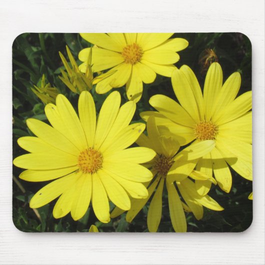 Mousepad - Gele daisies Muismat (Voorkant)