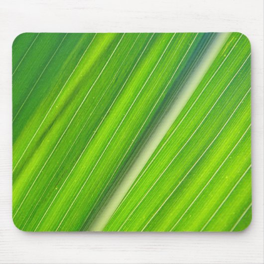 Mousepad hellgrünes Maisblattdesign Muismat (Voorkant)