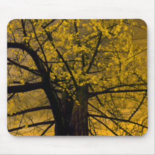 Mousepad Herfst Yellow Tree Painting Muismat