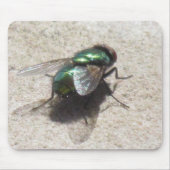 Mousepad - Housefly Muismat (Voorkant)