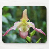 Mousepad - Ladyslipper Muismat (Voorkant)