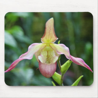 Mousepad - Ladyslipper Muismat