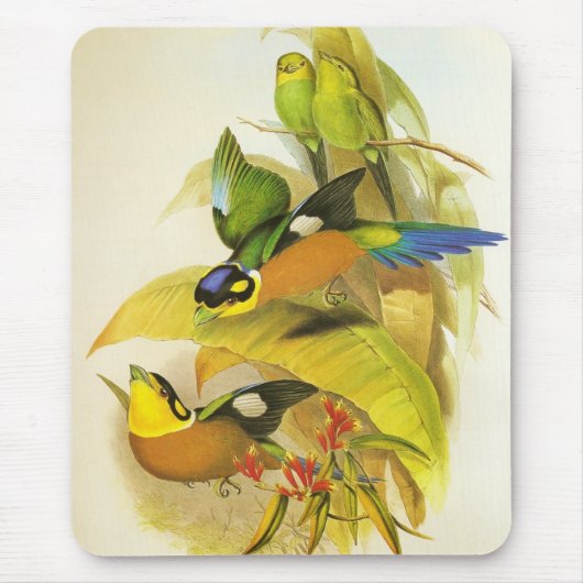 Mousepad  Langstaartvogels Muismat (Voorkant)