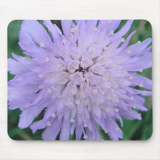 Mousepad lila Scabiosa Muismat (Voorkant)