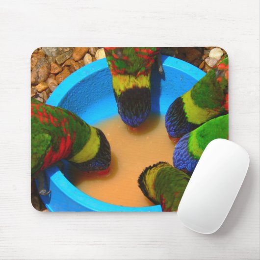 Mousepad, Lorikeets Muismat (Met muis)
