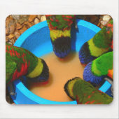 Mousepad, Lorikeets Muismat (Voorkant)