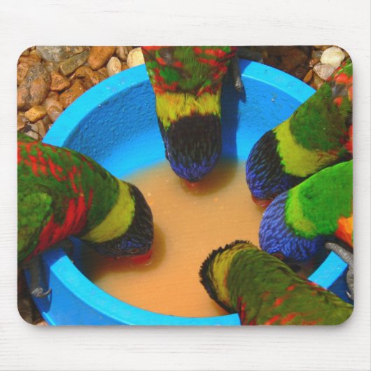 Mousepad, Lorikeets Muismat (Voorkant)