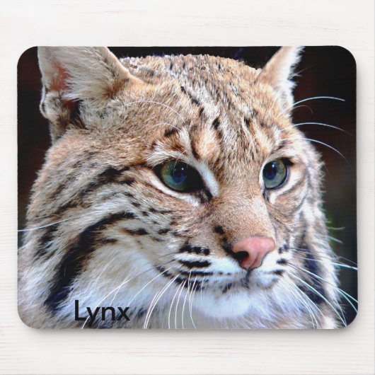 Mousepad, Lynx Up Close Muismat (Voorkant)