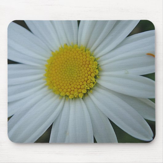 Mousepad Margerite in weiss Muismat (Voorkant)