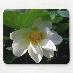 Mousepad met delicate witte Lotus Flower Muismat