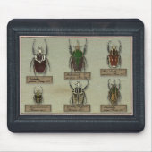 Mousepad met Goliath kevers Muismat (Voorkant)
