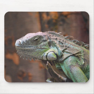 Mousepad met kleurrijke Iguana hagedis Muismat
