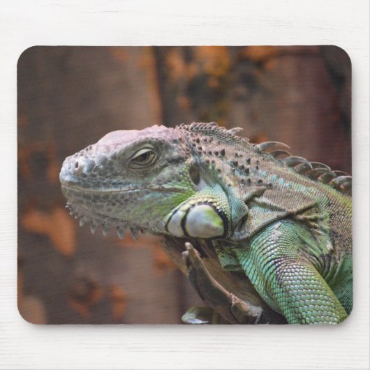 Mousepad met kleurrijke Iguana hagedis Muismat (Voorkant)