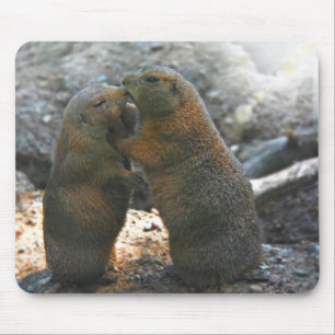 Mousepad met leuk marmot-paar muismat