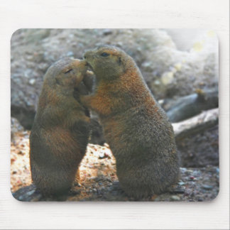 Mousepad met leuk marmot-paar muismat