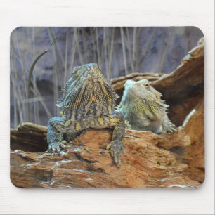 Mousepad met twee merkwaardige lizards muismat