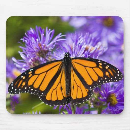 Mousepad Monarch Butterfly op Paarse Asters Muismat (Voorkant)