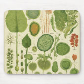 Mousepad Muismat (Voorkant)