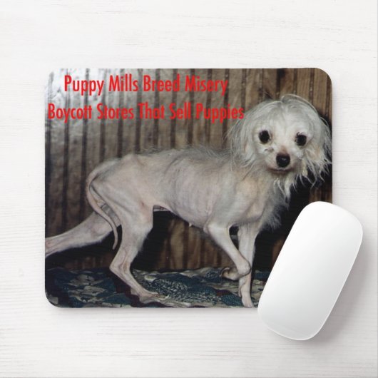 Mousepad Muismat (Met muis)