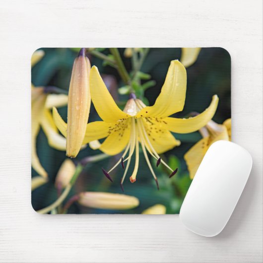Mousepad Muismat (Met muis)