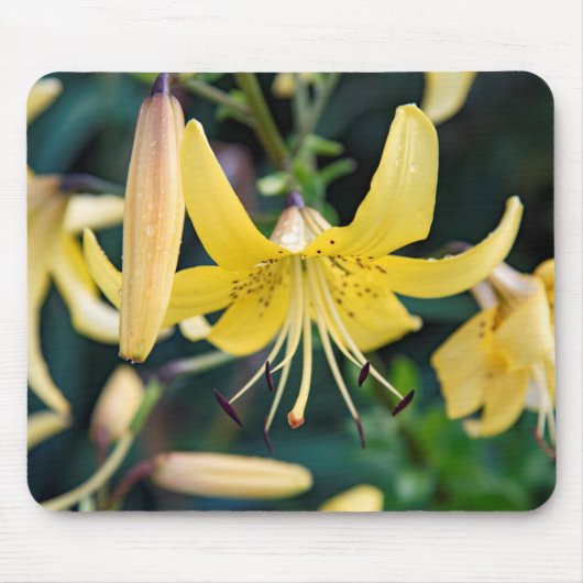 Mousepad Muismat (Voorkant)