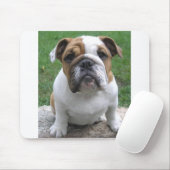 mousepad muismat (Met muis)