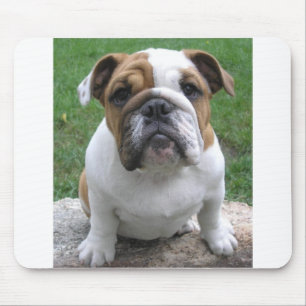 mousepad muismat