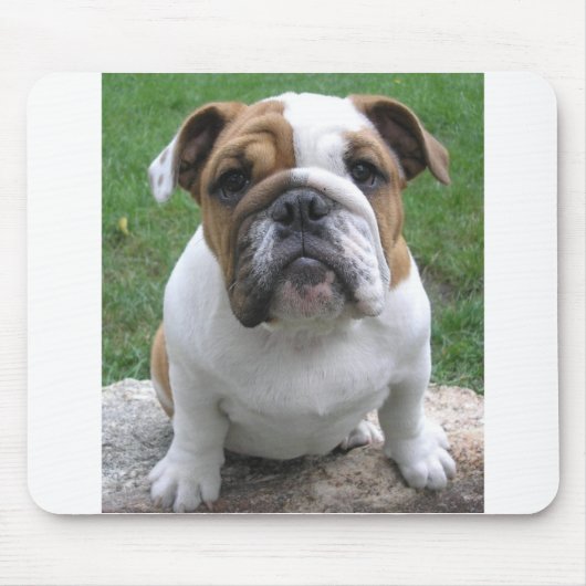 mousepad muismat (Voorkant)