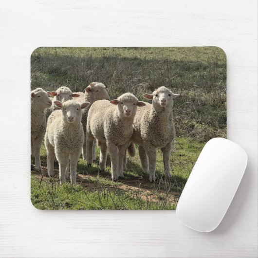 Mousepad Muismat (Met muis)