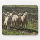 Mousepad Muismat (Voorkant)