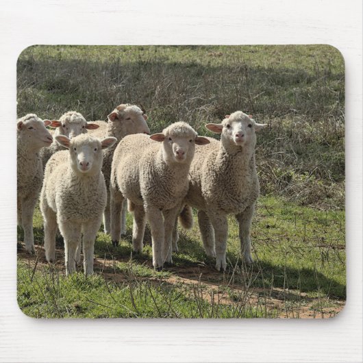 Mousepad Muismat (Voorkant)