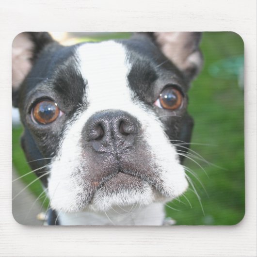 Mousepad Muismat (Voorkant)