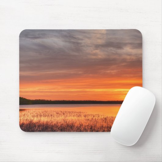 Mousepad Muismat (Met muis)