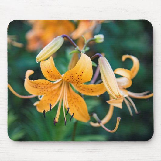 Mousepad Muismat (Voorkant)