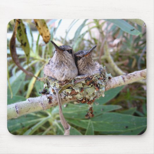 Mousepad Muismat (Voorkant)