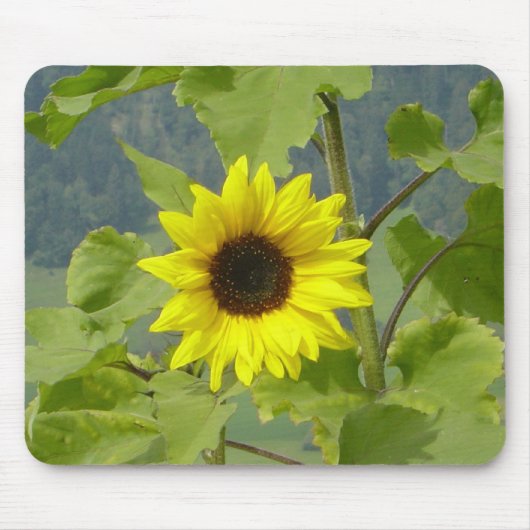 MOUSEPAD MUISMAT (Voorkant)