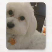 Mousepad Muismat (Voorkant)