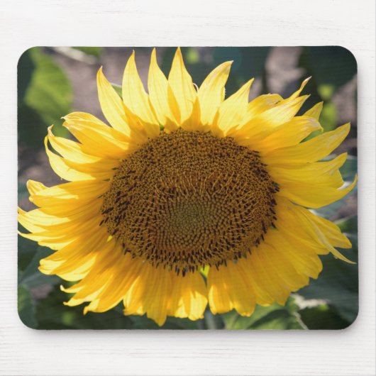 Mousepad Muismat (Voorkant)