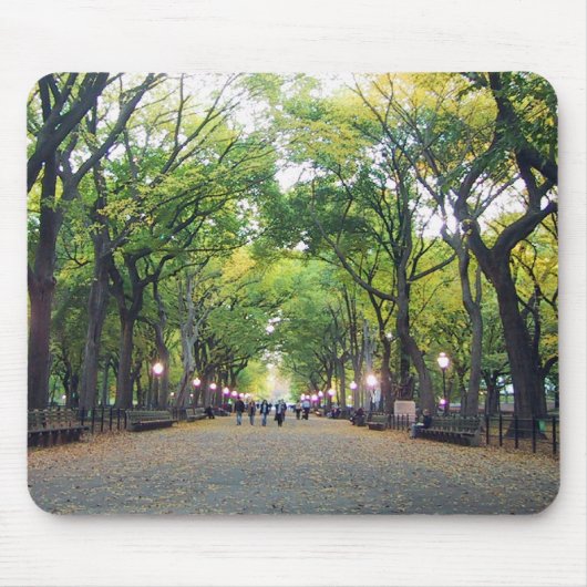 Mousepad - NY Central Park Muismat (Voorkant)