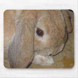 Mousepad of Mousemat - Lop Eared Dwarf Rabbit Muismat