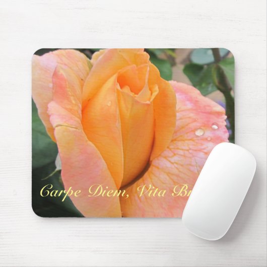 Mousepad--Orange Rose With Raindrops Muismat (Met muis)